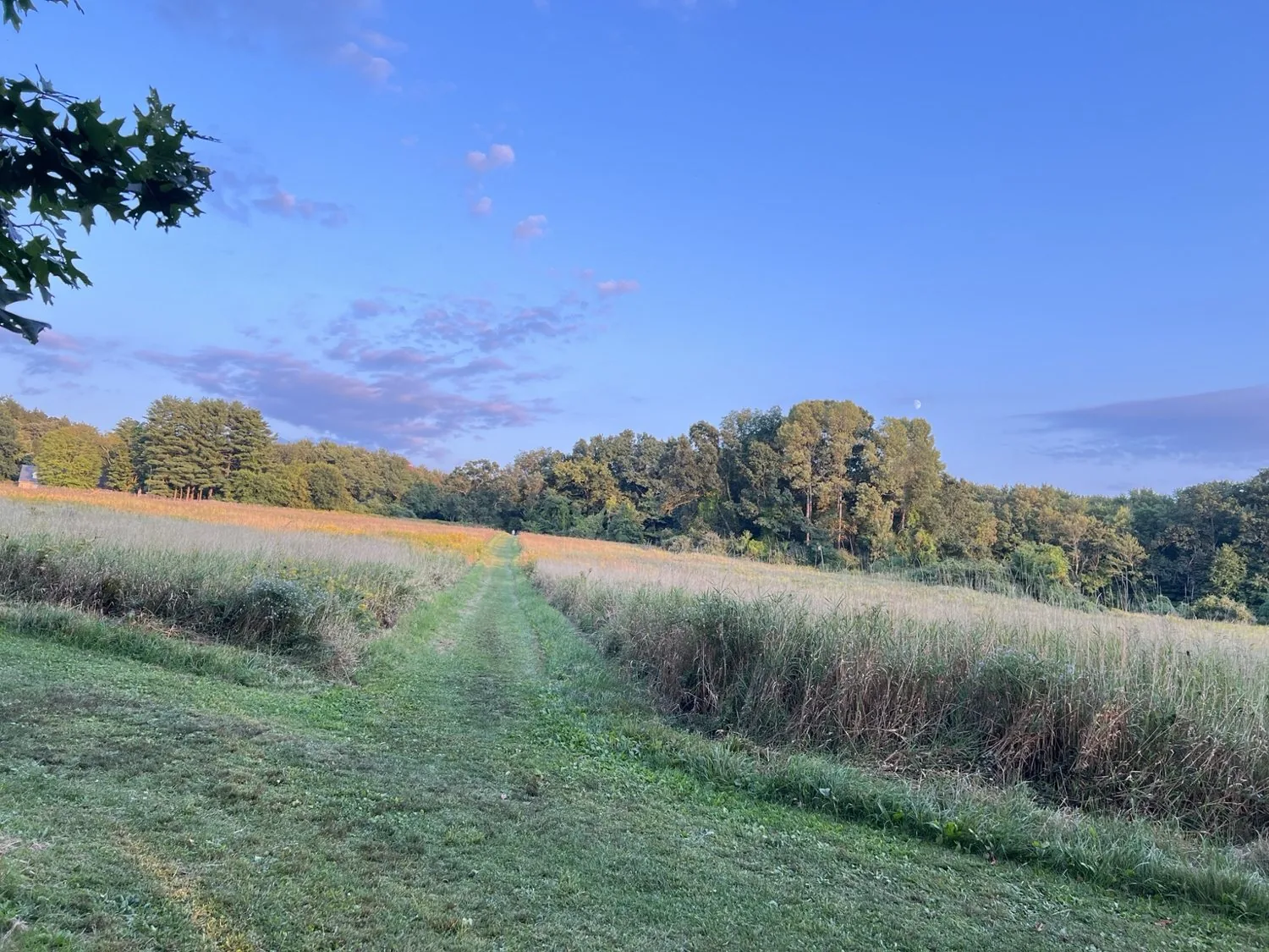 Walking trail through the neighboring farmland